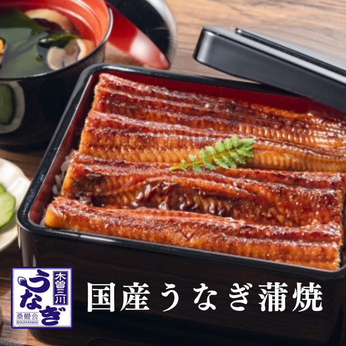 国産 木曽三川うなぎ 蒲焼き 国産 1尾 160g 無頭 背開