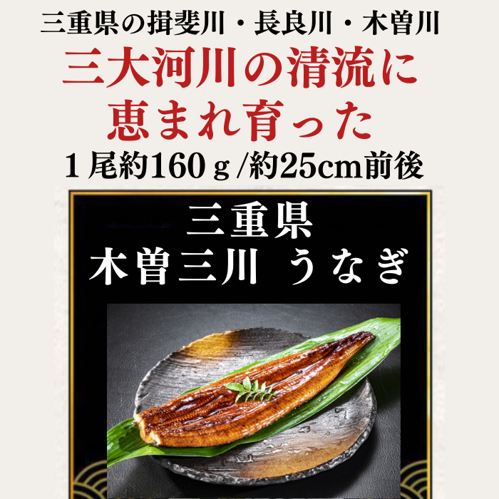 国産 木曽三川うなぎ 蒲焼き 国産 1尾 160g 無頭 背開