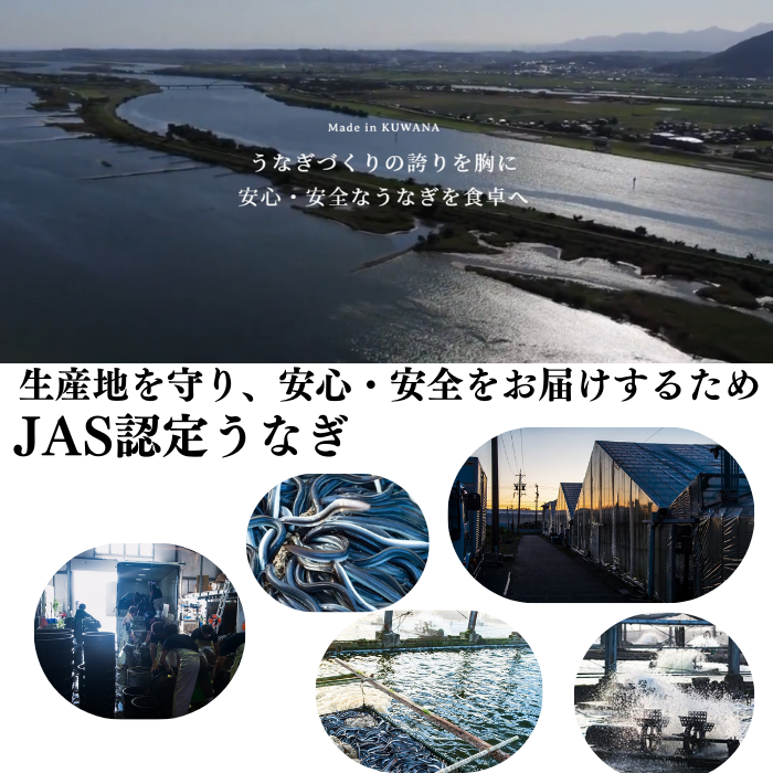 国産 木曽三川うなぎ 蒲焼き 国産 1尾 160g 無頭 背開