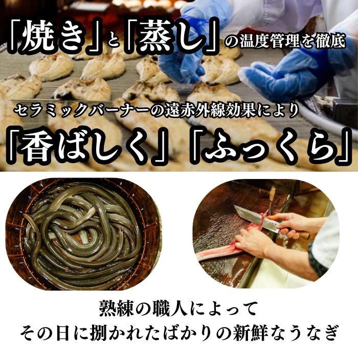 国産 木曽三川うなぎ 蒲焼き 国産 1尾 160g 無頭 背開
