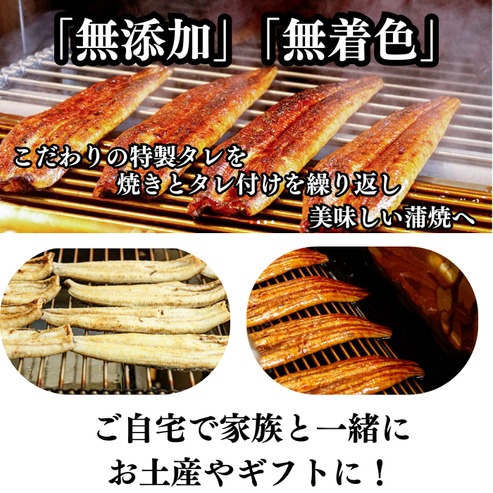 国産 木曽三川うなぎ 蒲焼き 国産 1尾 160g 無頭 背開