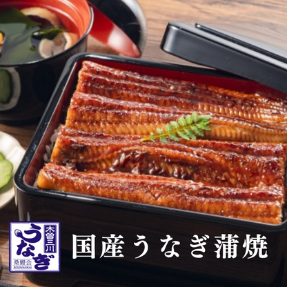 国産 木曽三川うなぎ 蒲焼き 国産 1尾 160g 無頭 背開